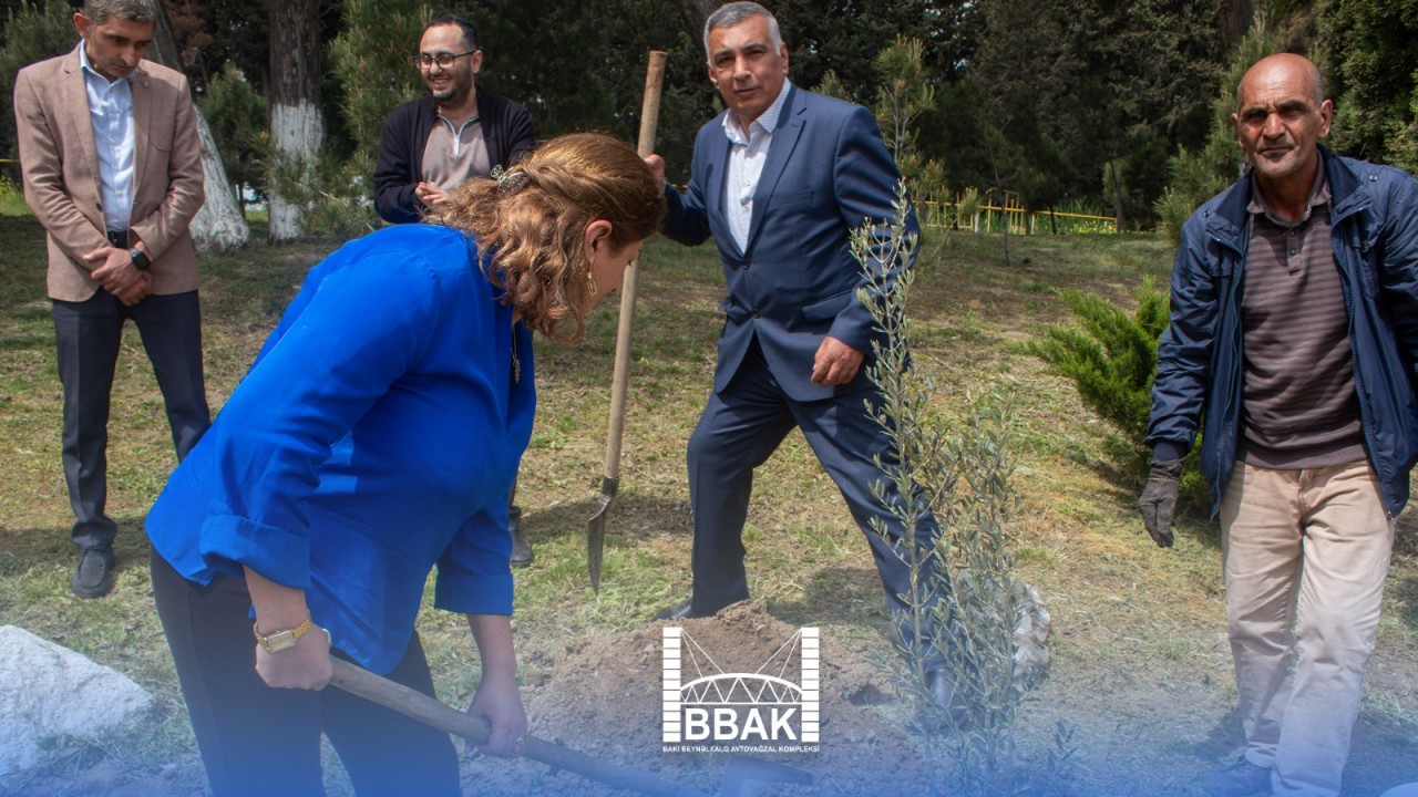 Heydər Əliyevin 103 illiyinə həsr olunan ağacəkmə aksiyası keçirildi - FOTOLAR